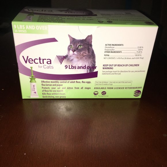 vectra for cats and kittens